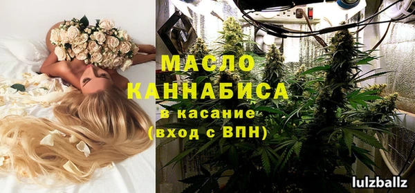 прущие крисы Пересвет