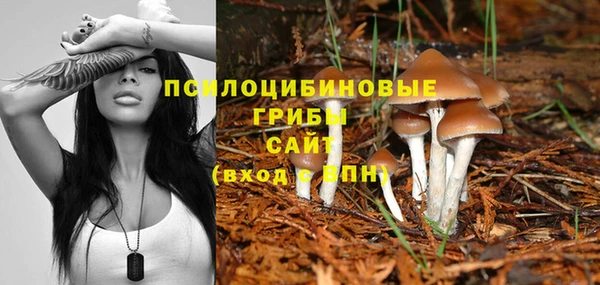 MDMA Premium VHQ Осинники