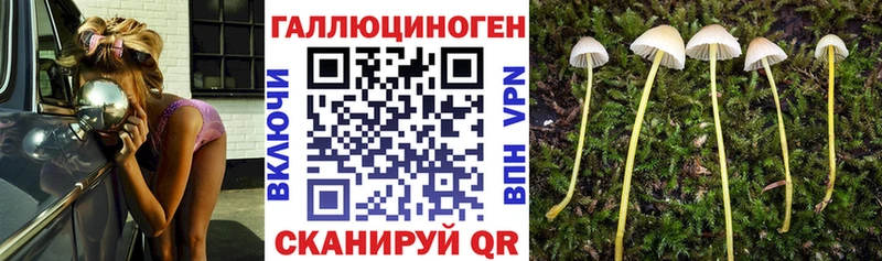Галлюциногенные грибы MAGIC MUSHROOMS Кубинка
