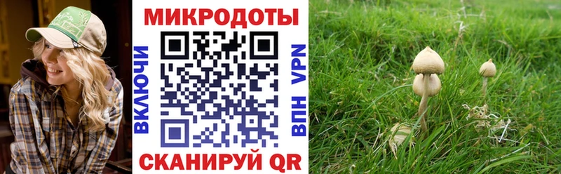 Псилоцибиновые грибы Psilocybe  купить  сайты  Кубинка 