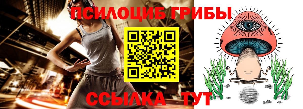 Псилоцибиновые грибы прущие грибы Кубинка