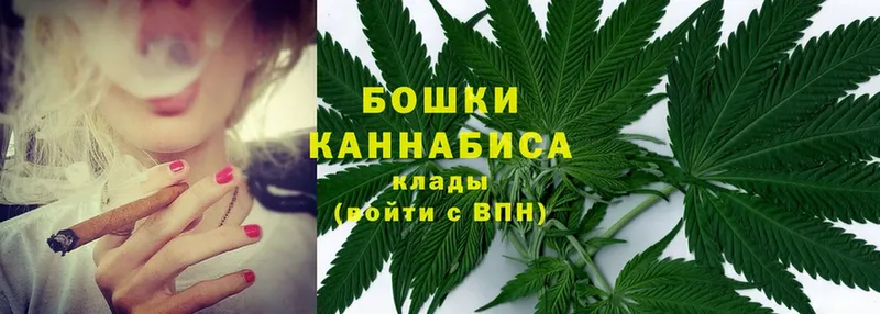 дарк нет как зайти  Кубинка  Канабис OG Kush 